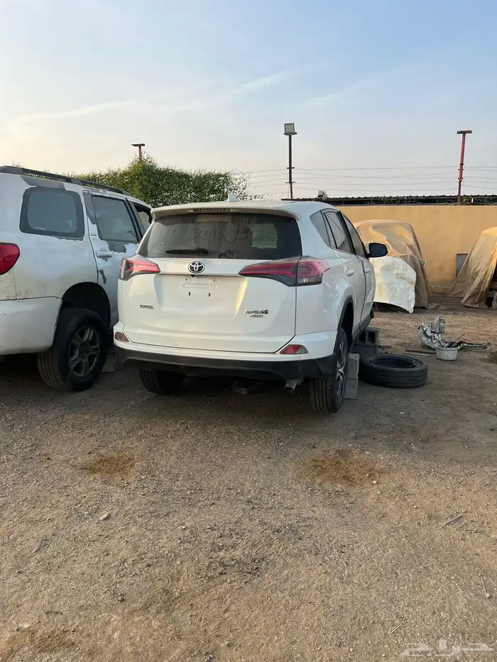 راف فور 2016 1