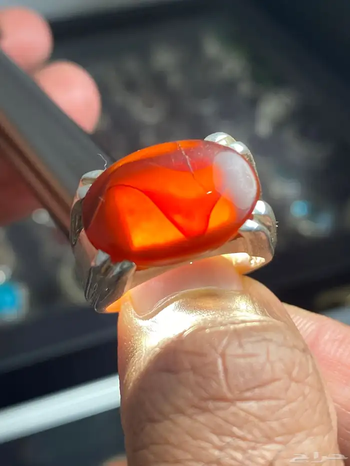 خاتم كرزي وكبدي يماني ملكي ومتوسط ( 6 خواتم ) 2