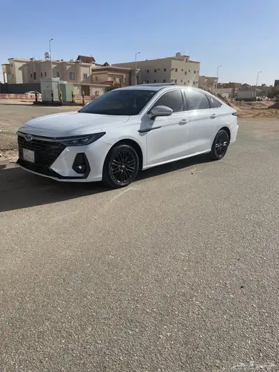 شيري اريزو 2024 1