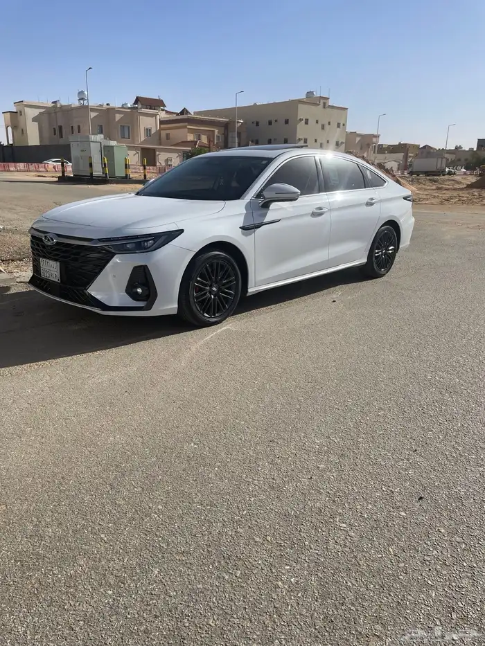 شيري اريزو 2024 1