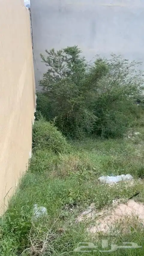 ارض للبيع حي العرين موقع مميز 2