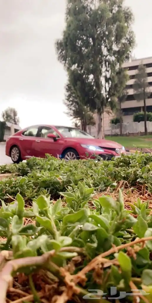 كامري 2019 للبيع 17