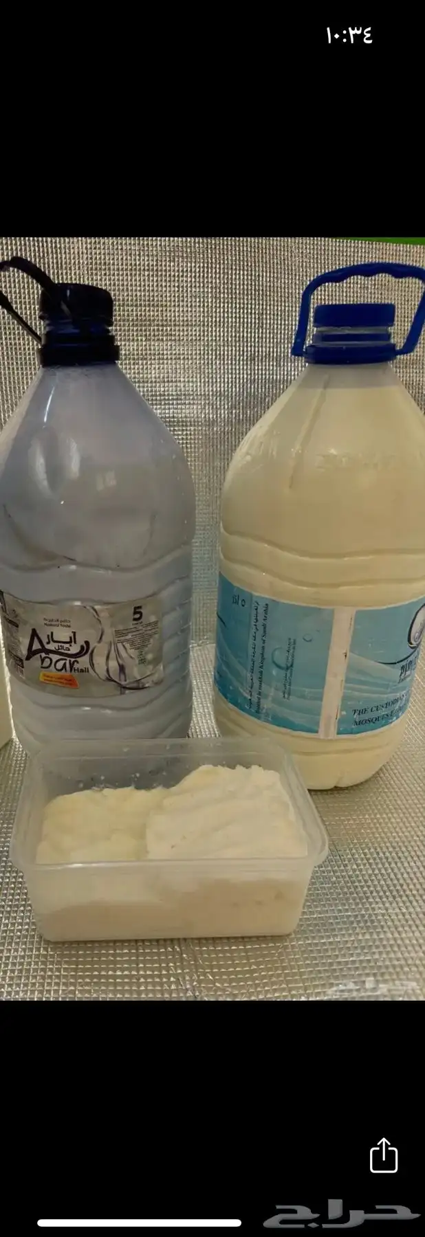 ز بدوحليب معزا طازج يوميا  من اغنامي 3