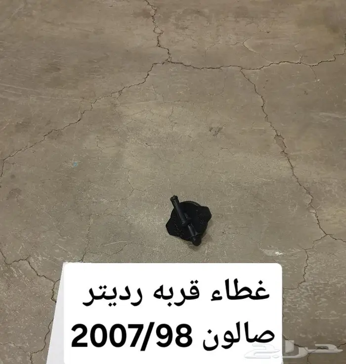 تمثال كبوت صالون 98 2007 11