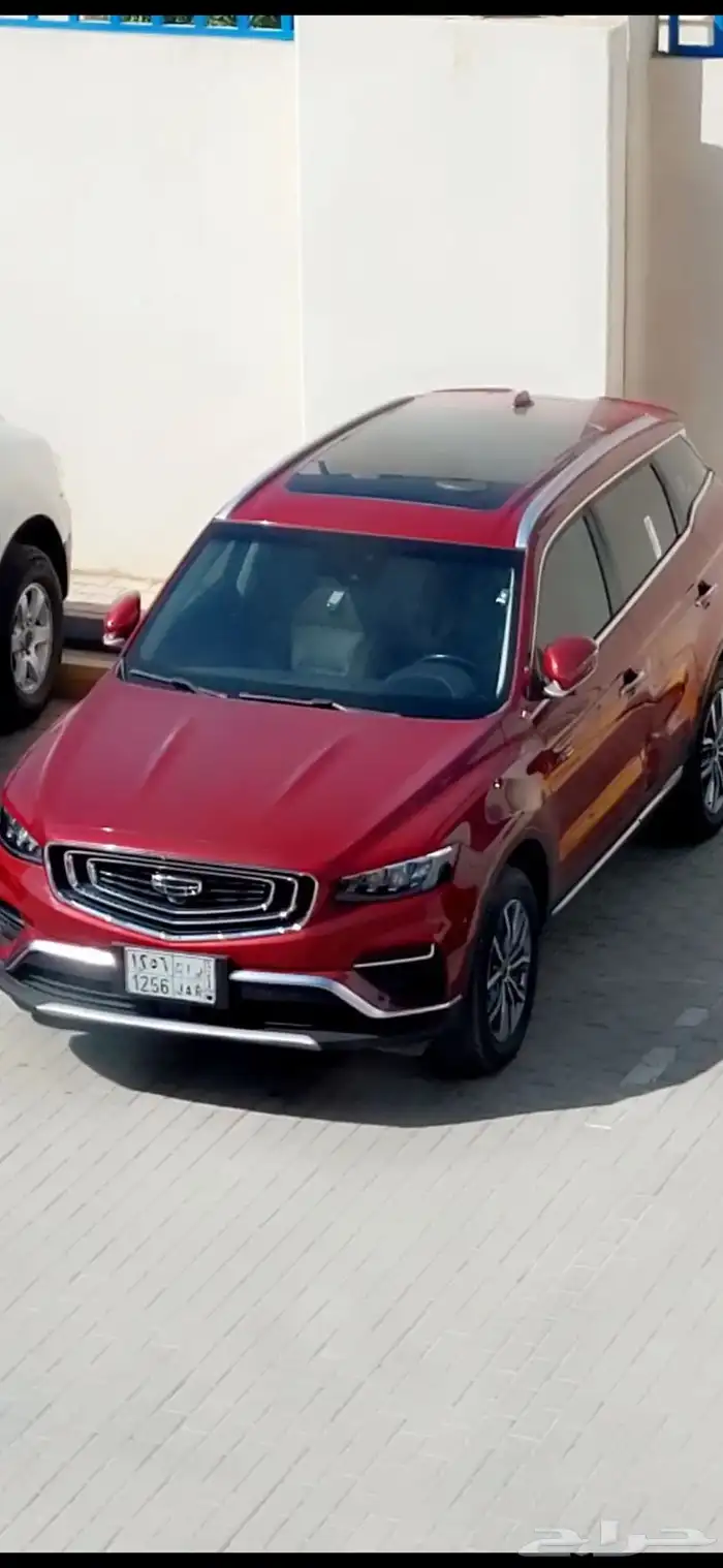 جلي ازكارا 2021 0