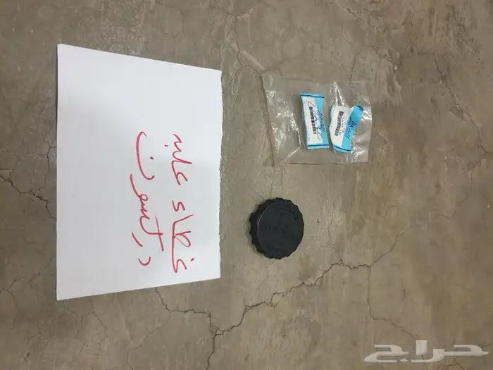 تمثال كبوت صالون 98 2007 10