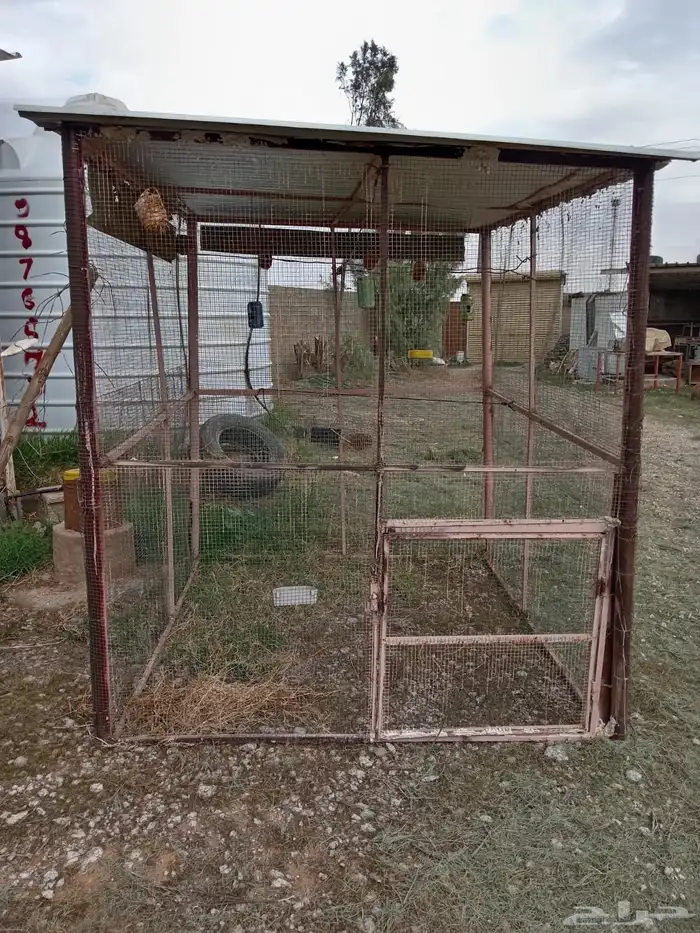 شبك لطيور الزينه 1