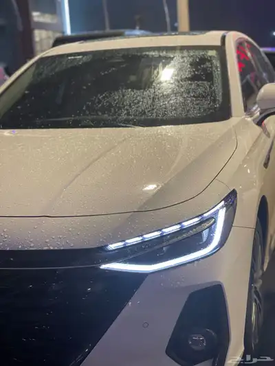 شيري اريزو 2024 8