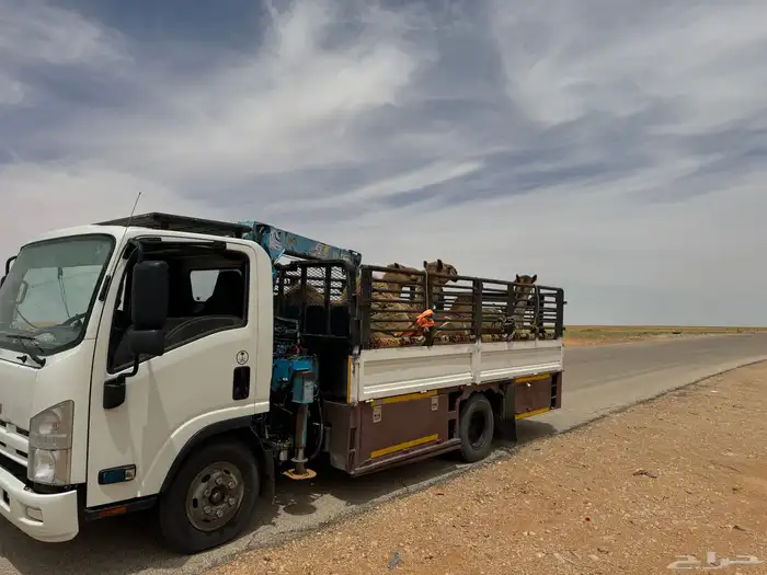 دنه ونش هيدروليك دينا 0