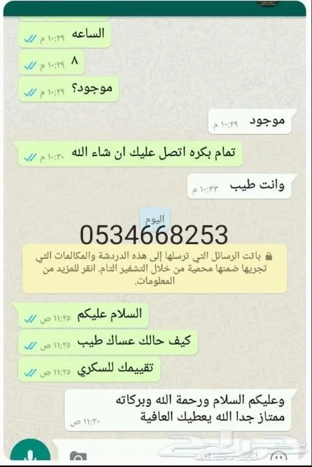 تمر شيشي ملكي حبة كبيرة جديد 7