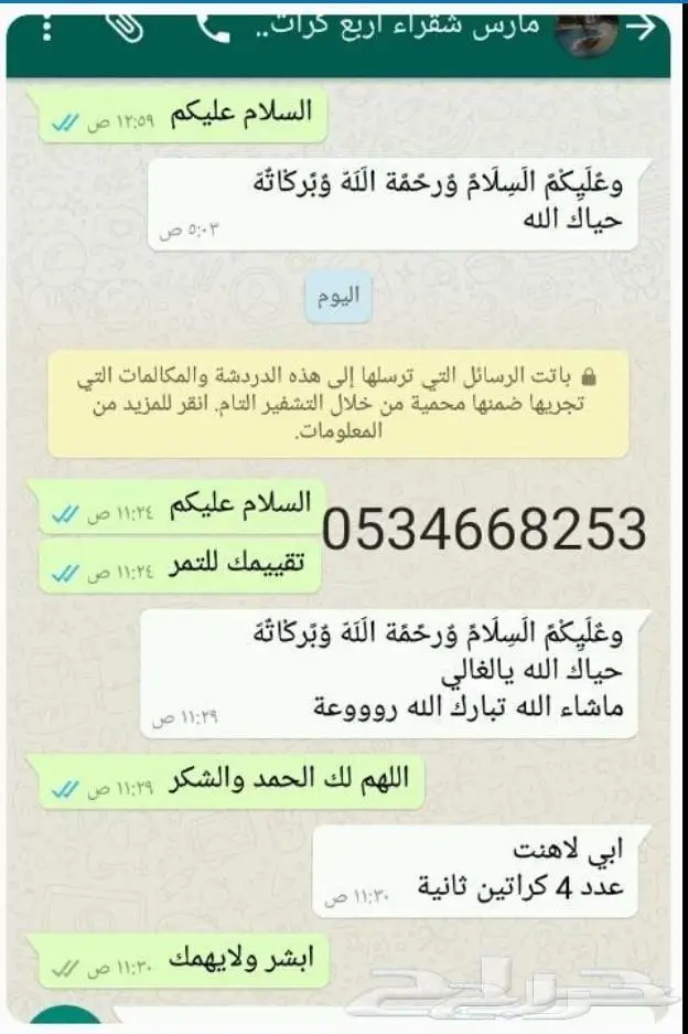 تمر شيشي ملكي حبة كبيرة جديد 8