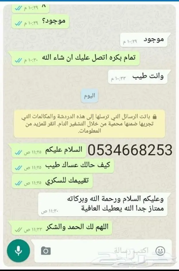 تمر شيشي ملكي حبة كبيرة جديد 10