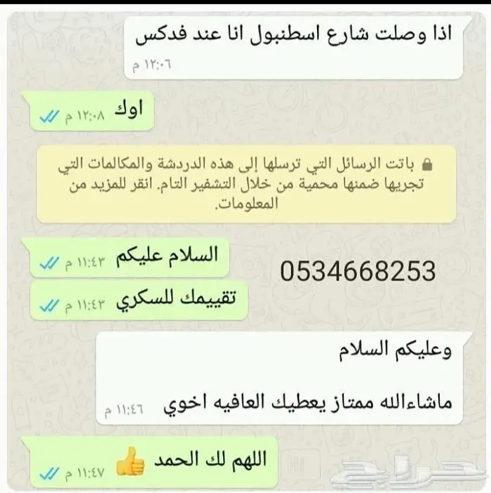 تمر شيشي ملكي حبة كبيرة جديد 13