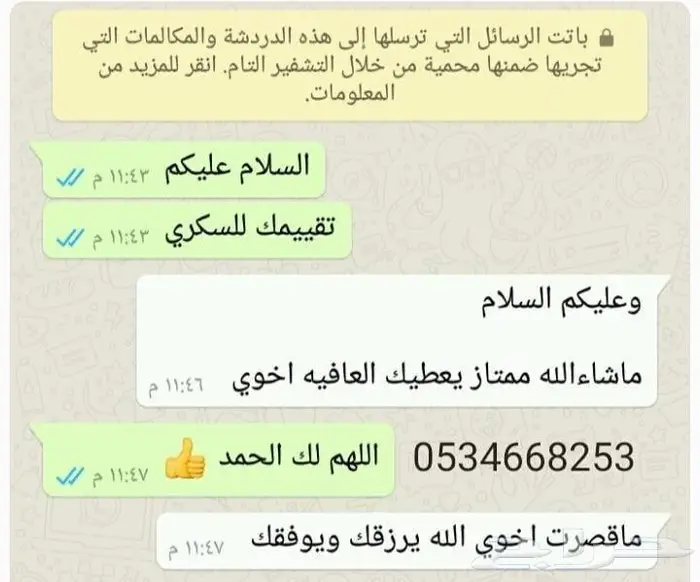 تمر شيشي ملكي حبة كبيرة جديد 16