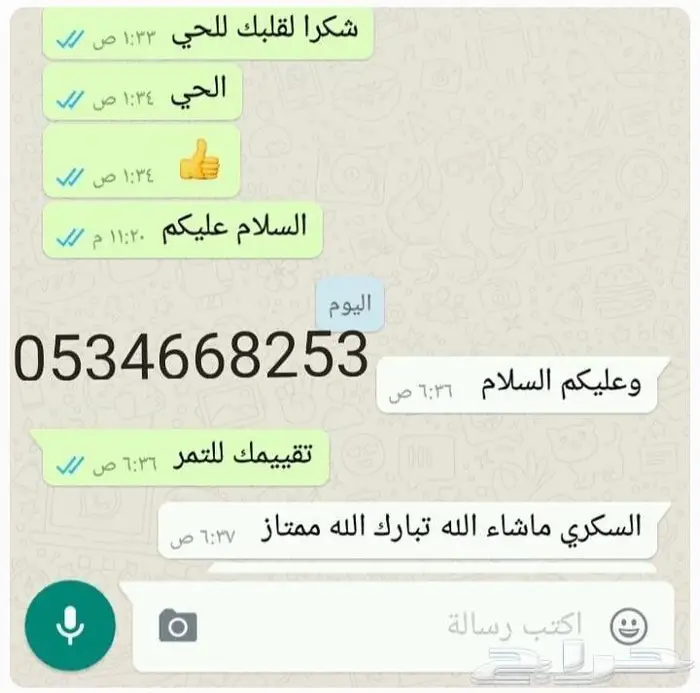 تمر صقعي ملكي حبة كبيرة الشيوخ 7