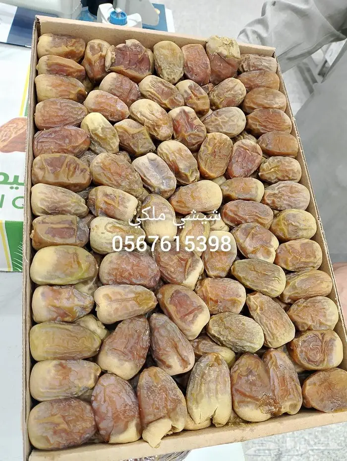 تمر شيشي ملكي حبة كبيرة جديد 0