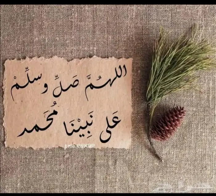 محامية مرخصة بحفر الباطن 0