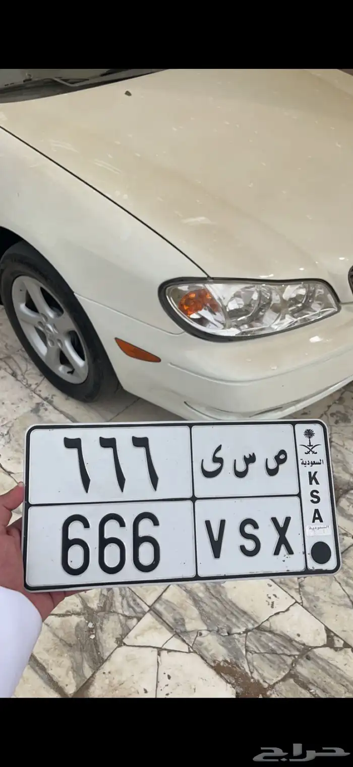 لوحة للبيع ثلاثي مكرر 666 1