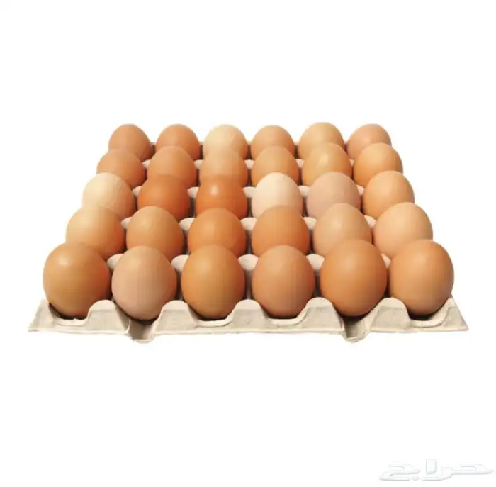 بيض بلدي للاكل عدد 2 طبق 0