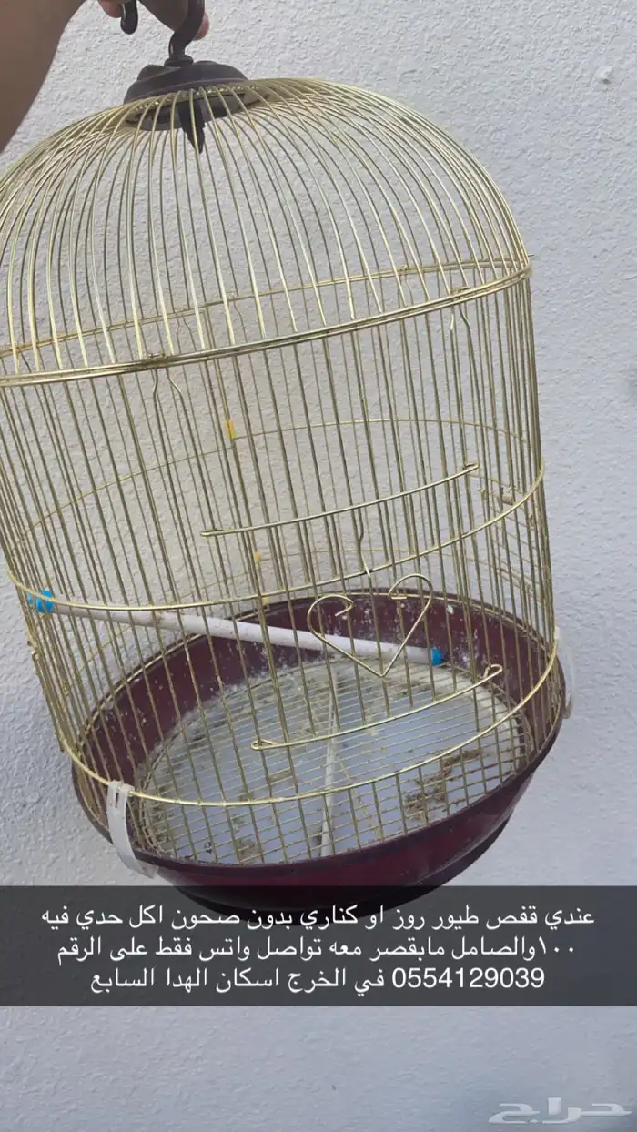 قفص طيور روز او كناري في الخرج 0