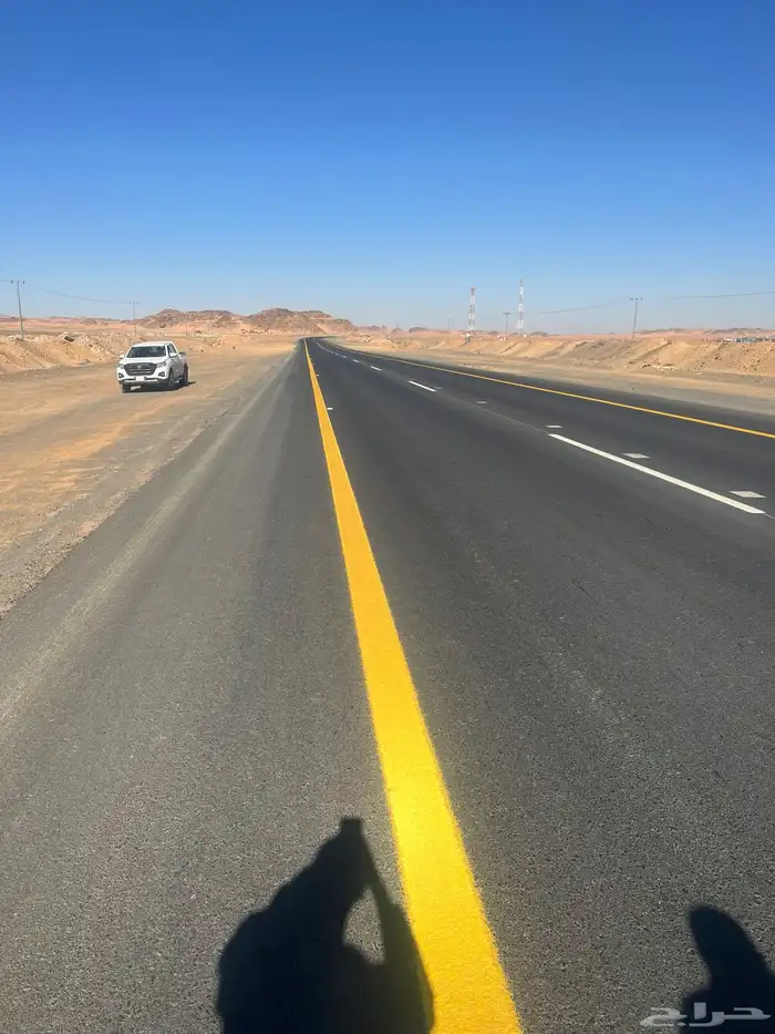 مقاولات تركيب عيون القطط 3