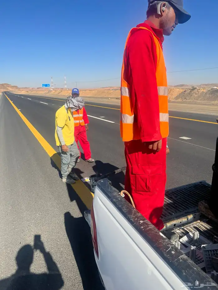 مقاولات تركيب عيون القطط 1
