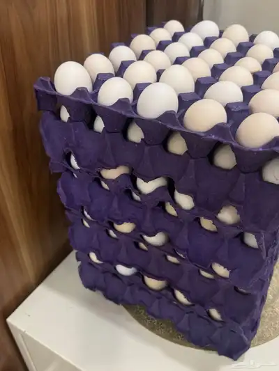 بيض دجاج بلدي عضوي 1