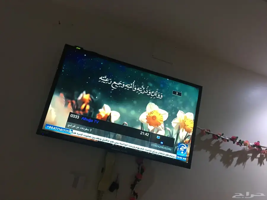 شاشة تلفزيونيه 0