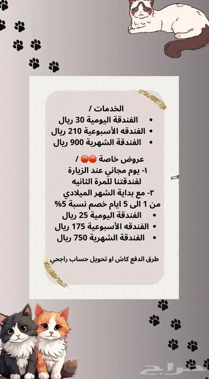 فندقة جازان 2