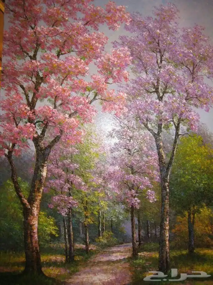 دورات رسم للاطفال والسيدات با اسعار منافسه 8