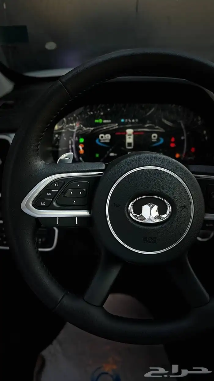 جريت وول باور موديل 2024 5