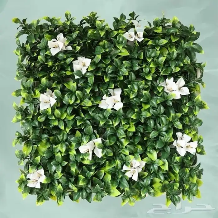 انجيله وديكورات 5