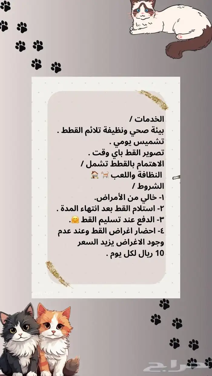 فندقة جازان 1
