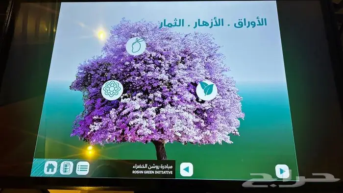 تصميم وبرمجة محتوى مرئي وتفاعلي 12