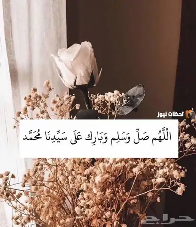كداد توصيل من العلا الى المدينة المنورة 0