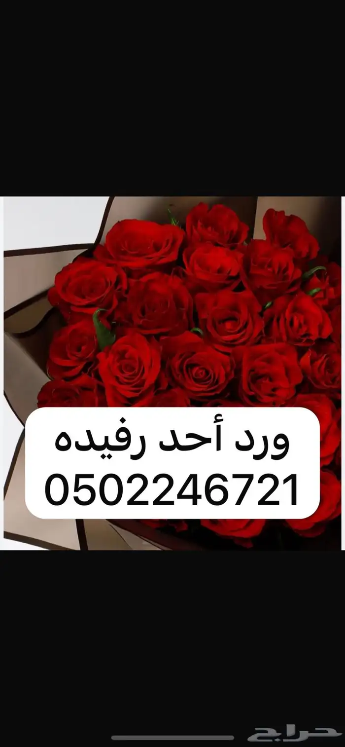ورد أحد رفيده 0