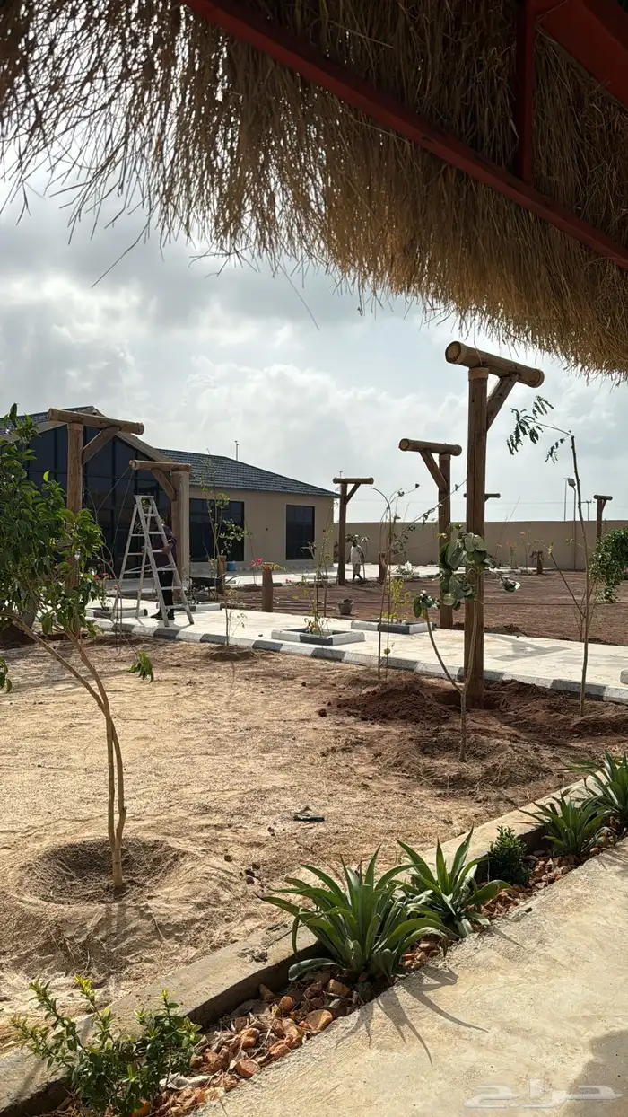 اعمده اناره وجلسات خارجيه 16