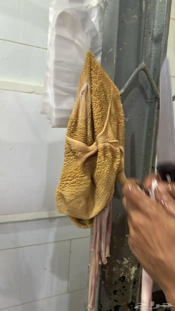 ذبائح ثلاجه ذبائح مناسبات 1