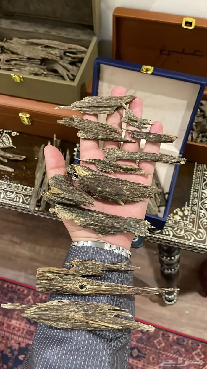 عود هندي ناجلاند 2