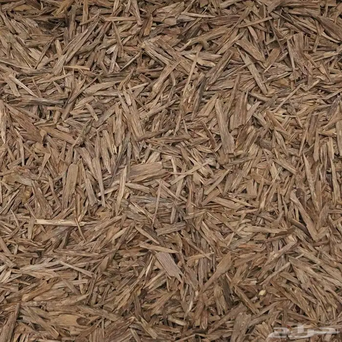 عود هندي بيبي سلا ( ثمن ) 0
