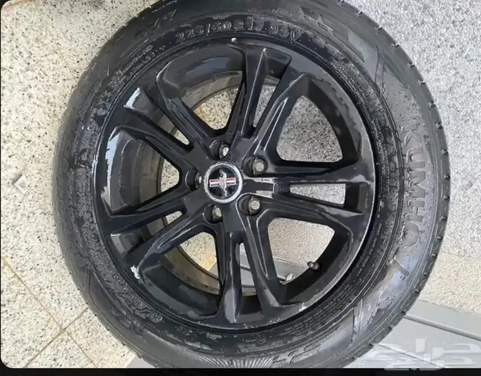 جنوط موستنق موستنج موستانج 0