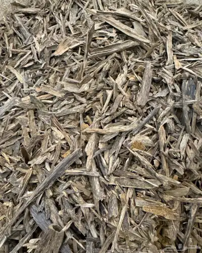 عود هندي سيسور 0