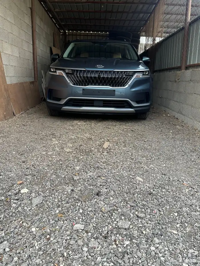 كرنفال ديزل لوحات جمركية 2021 0