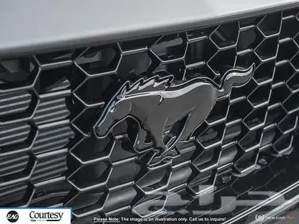 تم البيع موستنج GT performance 2024 7