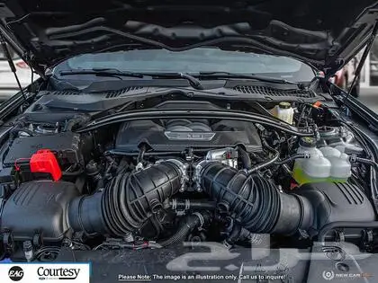 تم البيع موستنج GT performance 2024 9
