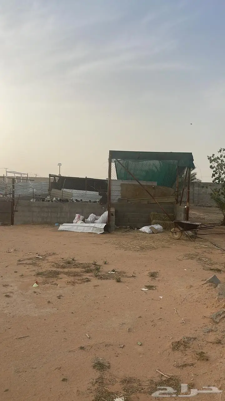 استراحة ومزرعة فاخرة للبيع الرياض محافظة الدلم 15