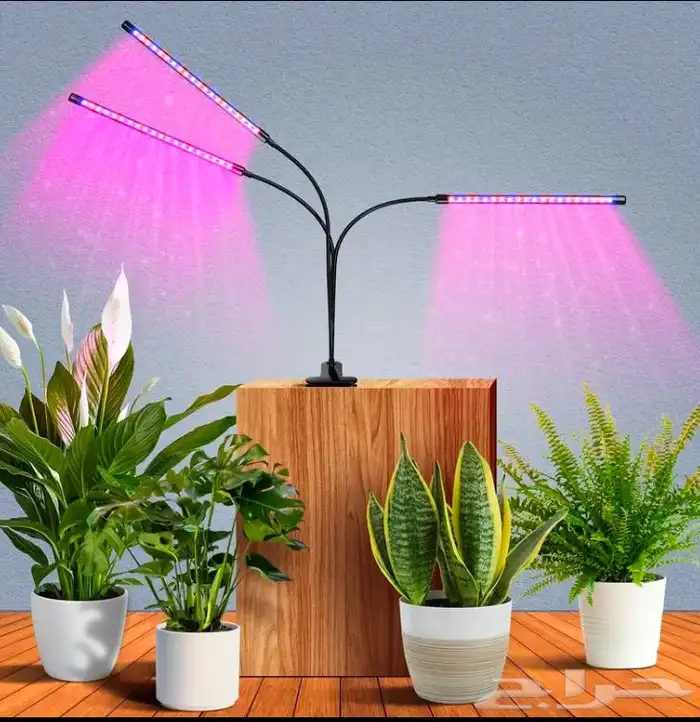 مركن زراعة اصيص طبقات مع مجموعة ادوات للزراعة 3