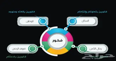 تصميم انفوجرافيك بوستات بوسترات ملخصات بجودة احترافية 2