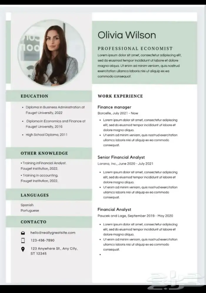 صمم سيرتك الذاتيه ع مزاجك Cv 13