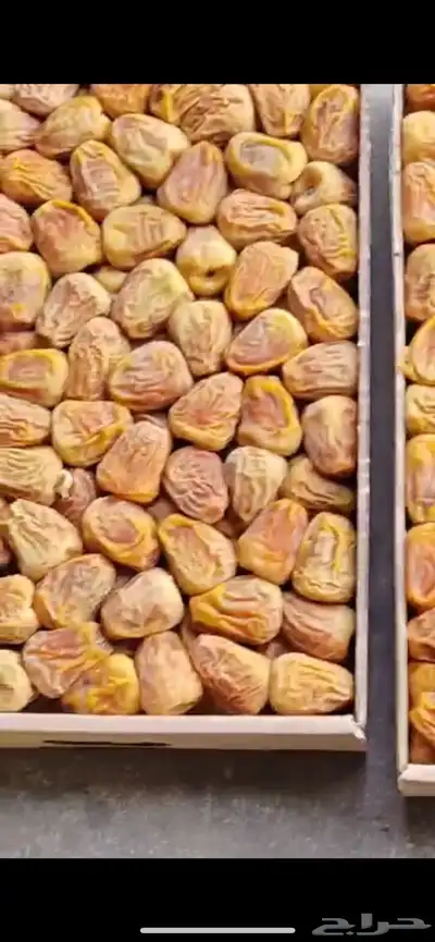 تمر سكري حبه فاخر ملكي من دون قشر 0